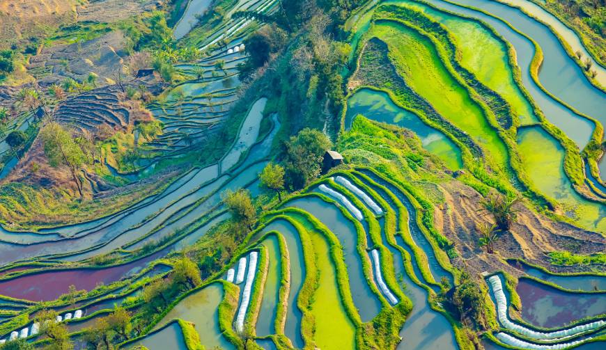 宝妈必备神器：龙山区产品视频拍摄轻松育儿好帮手