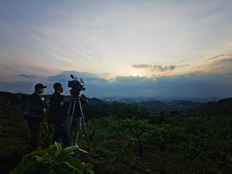 聚焦龙山区产品宣传视频拍摄公司，用专业实力铸就品牌传播传奇