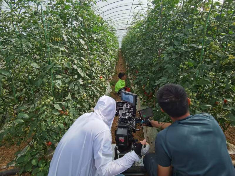 龙山区产品宣传视频拍摄公司进阶指南，助力品牌抢占传播高地